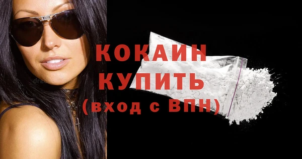 прущие грибы Осинники
