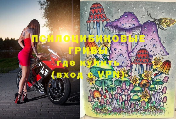 прущие грибы Осинники
