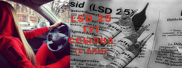 шишки Киров