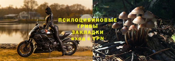 дмт Няндома