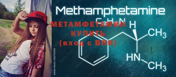 прущие грибы Осинники