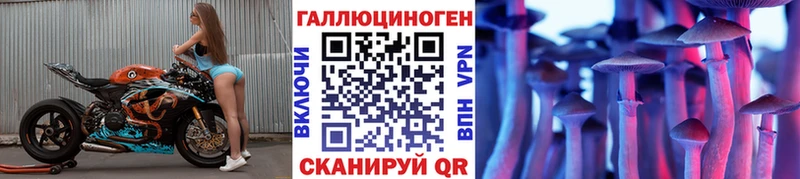 Галлюциногенные грибы мицелий  Купить  Приозерск 